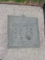 Fruit Plaque Library